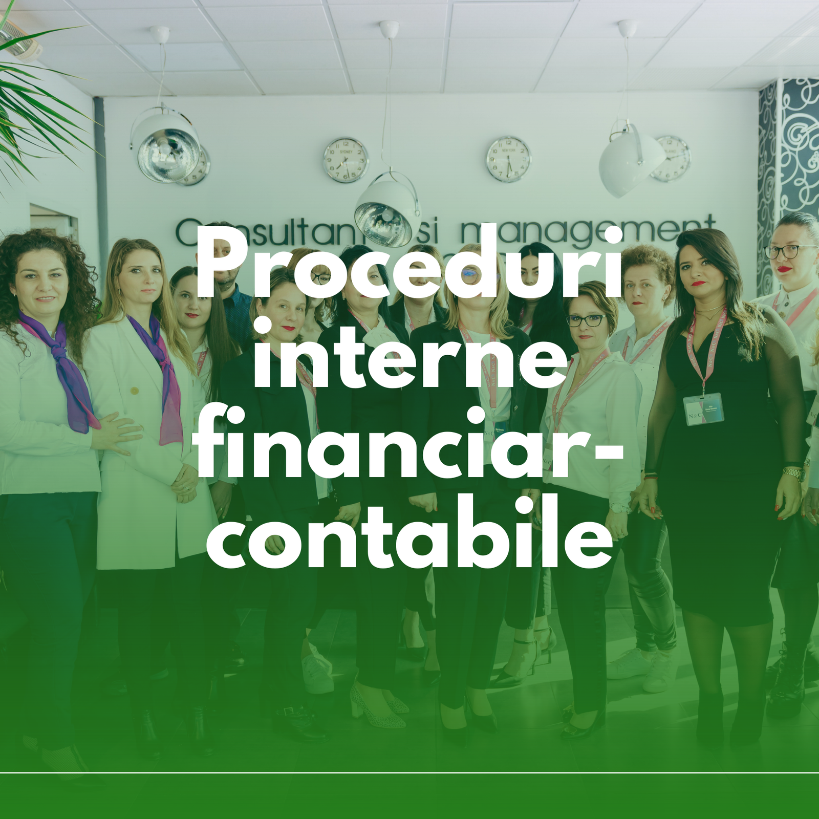 Proceduri interne financiar-contabile