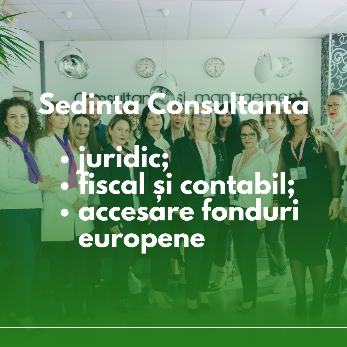 Consultanță